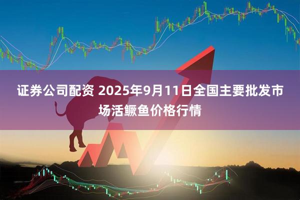 证券公司配资 2025年9月11日全国主要批发市场活鳜鱼价格行情