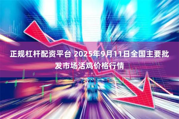 正规杠杆配资平台 2025年9月11日全国主要批发市场活鸡价格行情