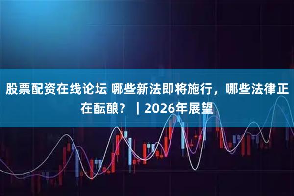 股票配资在线论坛 哪些新法即将施行，哪些法律正在酝酿？｜2026年展望