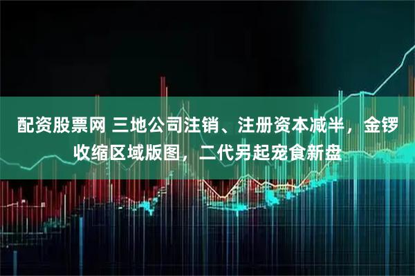 配资股票网 三地公司注销、注册资本减半，金锣收缩区域版图，二代另起宠食新盘